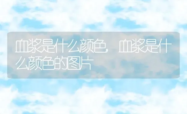 血浆是什么颜色,血浆是什么颜色的图片 | 养殖科普