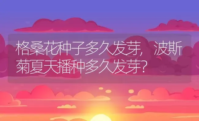 格桑花种子多久发芽,波斯菊夏天播种多久发芽？ | 养殖科普