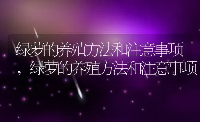 绿萝的养殖方法和注意事项,绿萝的养殖方法和注意事项 | 养殖学堂
