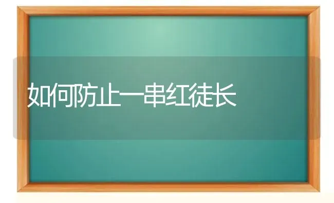 如何防止一串红徒长 | 养殖技术大全