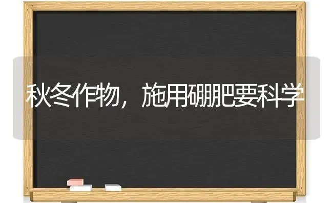 秋冬作物,施用硼肥要科学 | 养殖知识