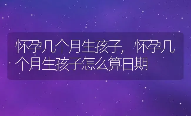 怀孕几个月生孩子,怀孕几个月生孩子怎么算日期 | 养殖资料