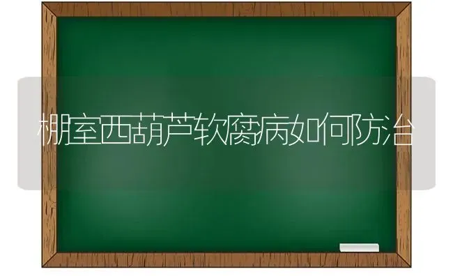 棚室西葫芦软腐病如何防治 | 养殖技术大全