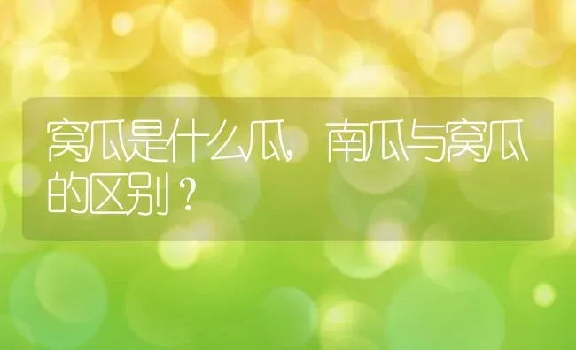 窝瓜是什么瓜,南瓜与窝瓜的区别？ | 养殖科普