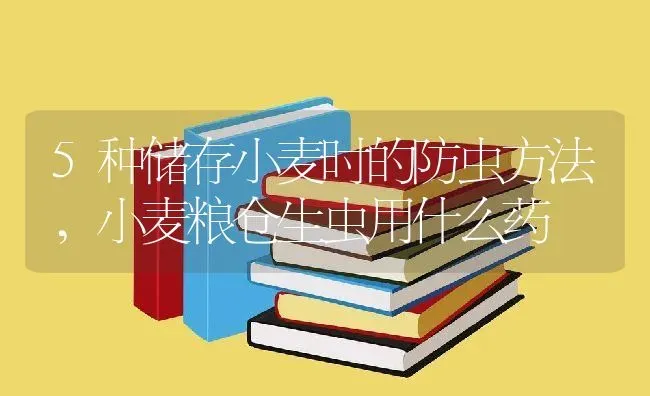 5种储存小麦时的防虫方法,小麦粮仓生虫用什么药 | 养殖学堂