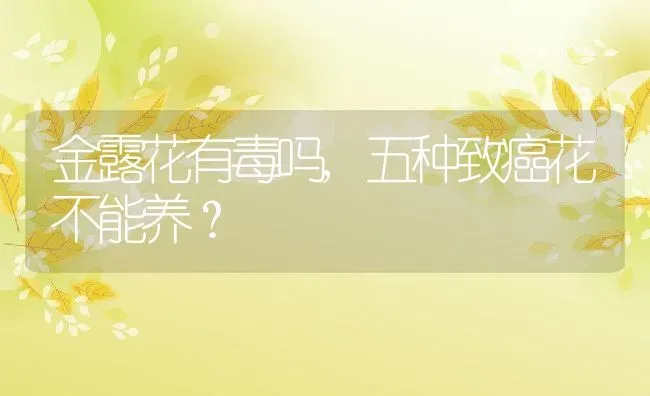 金露花有毒吗,五种致癌花不能养？ | 养殖科普