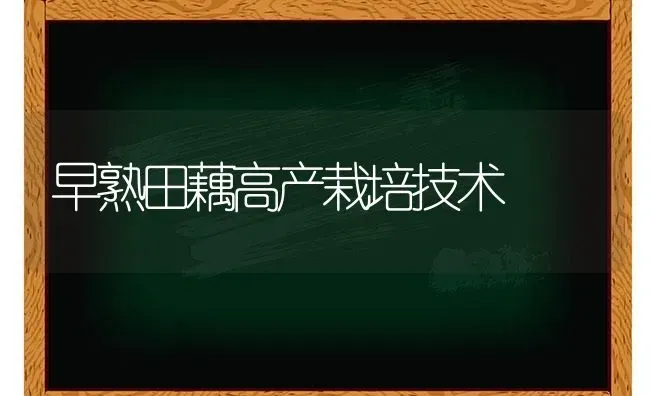 早熟田藕高产栽培技术 | 养殖知识