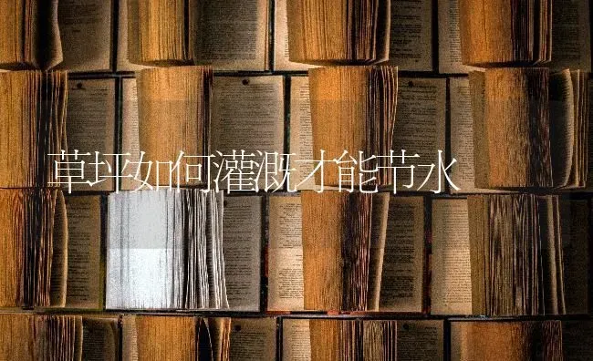 草坪如何灌溉才能节水 | 养殖知识