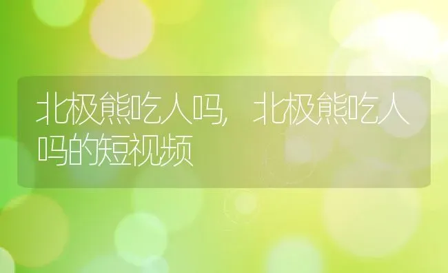 北极熊吃人吗,北极熊吃人吗的短视频 | 养殖资料