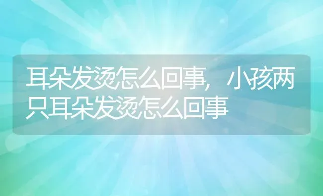 耳朵发烫怎么回事,小孩两只耳朵发烫怎么回事 | 养殖科普