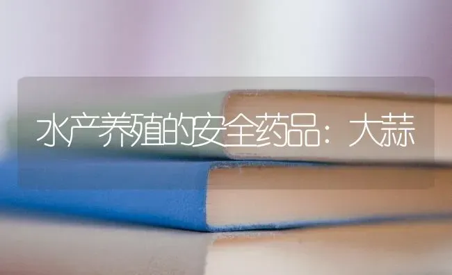 水产养殖的安全药品：大蒜 | 养殖知识
