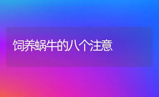 饲养蜗牛的八个注意 | 养殖技术大全