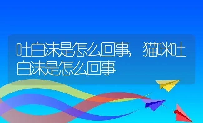 吐白沫是怎么回事,猫咪吐白沫是怎么回事 | 养殖资料