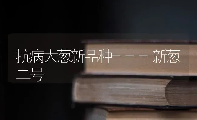 抗病大葱新品种---新葱二号 | 养殖技术大全