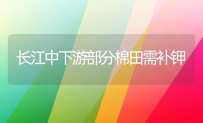 长江中下游部分棉田需补钾 | 养殖知识