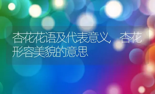 杏花花语及代表意义,杏花形容美貌的意思 | 养殖学堂