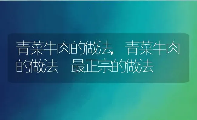 青菜牛肉的做法,青菜牛肉的做法 最正宗的做法 | 养殖资料