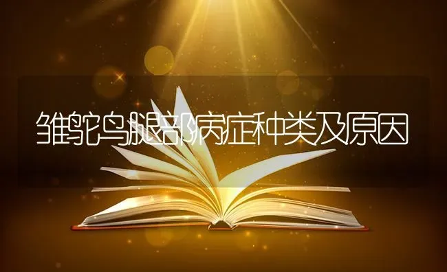 雏鸵鸟腿部病症种类及原因 | 养殖知识