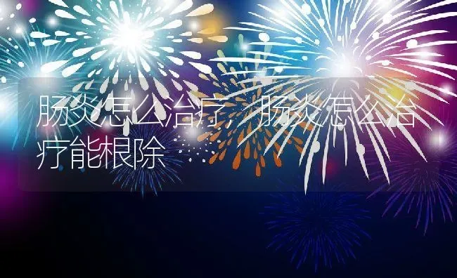 肠炎怎么治疗,肠炎怎么治疗能根除 | 养殖学堂