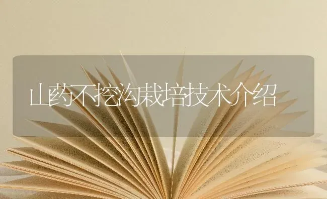 山药不挖沟栽培技术介绍 | 养殖知识