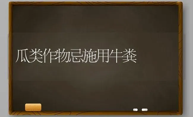 瓜类作物忌施用牛粪 | 养殖技术大全