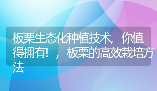 板栗生态化种植技术,你值得拥有!,板栗的高效栽培方法 | 养殖学堂