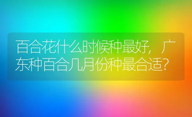 百合花什么时候种最好,广东种百合几月份种最合适？ | 养殖科普