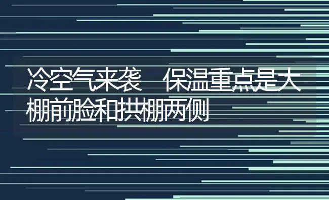 冷空气来袭 保温重点是大棚前脸和拱棚两侧 | 养殖技术大全