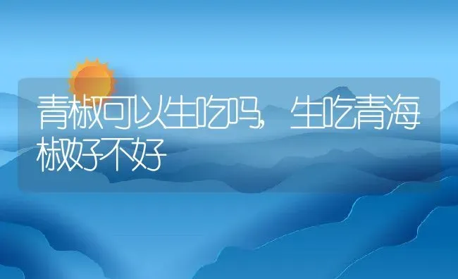 青椒可以生吃吗,生吃青海椒好不好 | 养殖学堂