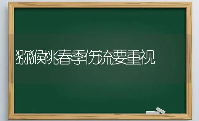 猕猴桃春季伤流要重视 | 养殖技术大全