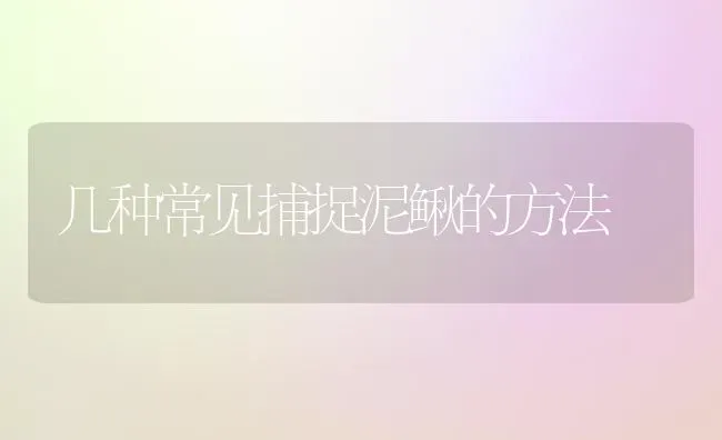 几种常见捕捉泥鳅的方法 | 养殖技术大全