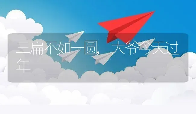 三扁不如一圆,大爷今天过年 | 养殖科普