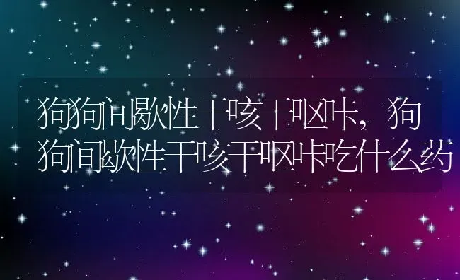 狗狗间歇性干咳干呕咔,狗狗间歇性干咳干呕咔吃什么药 | 养殖科普