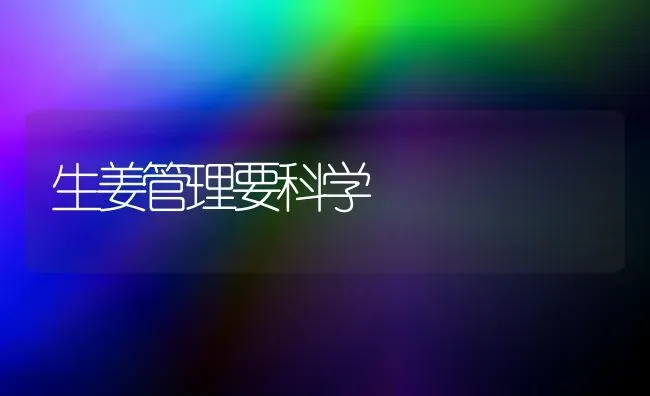 生姜管理要科学 | 养殖知识