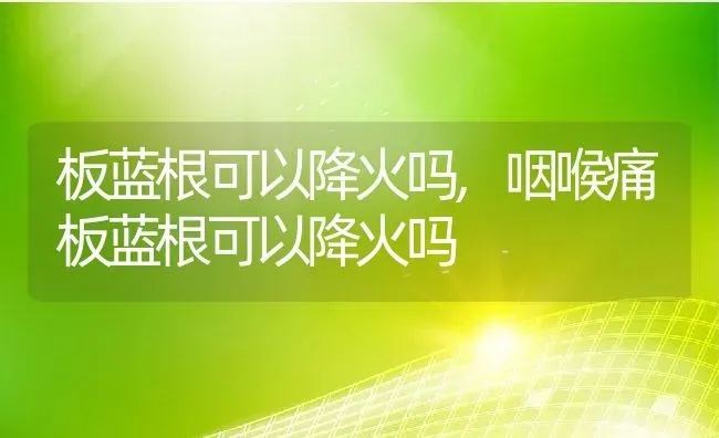 板蓝根可以降火吗,咽喉痛板蓝根可以降火吗 | 养殖资料