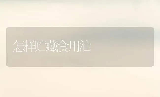 怎样贮藏食用油 | 养殖技术大全