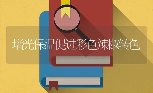 增光保温促进彩色辣椒转色 | 养殖知识