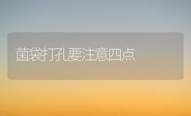 菌袋打孔要注意四点 | 养殖知识