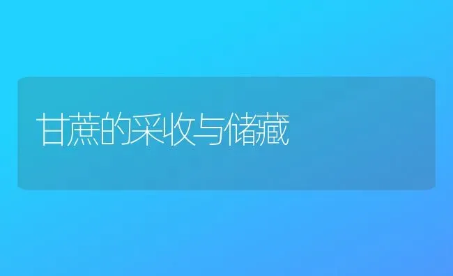 甘蔗的采收与储藏 | 养殖技术大全