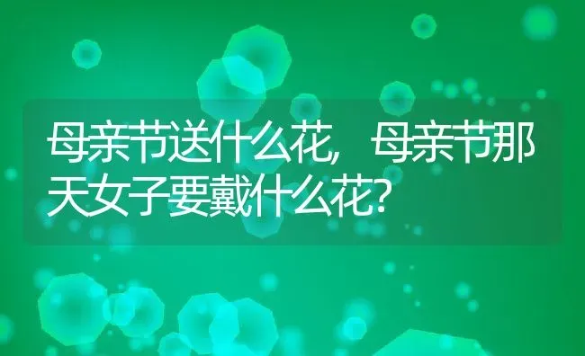 母亲节送什么花,母亲节那天女子要戴什么花？ | 养殖学堂