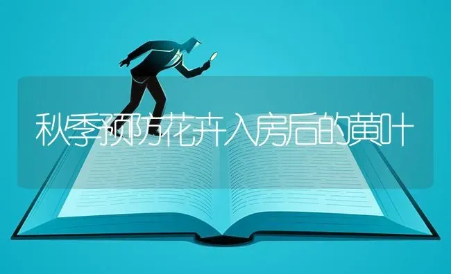 秋季预防花卉入房后的黄叶 | 养殖知识