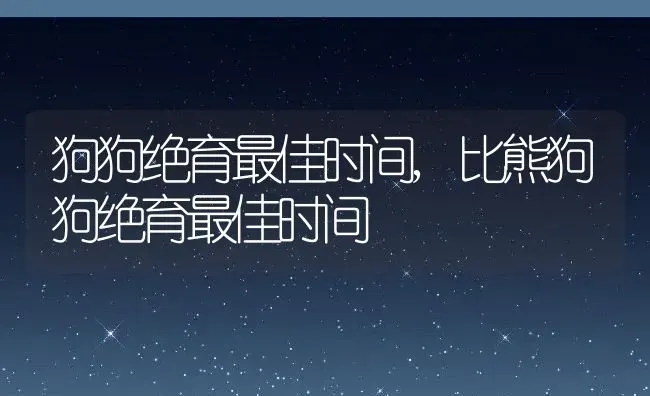 狗狗绝育最佳时间,比熊狗狗绝育最佳时间 | 养殖科普