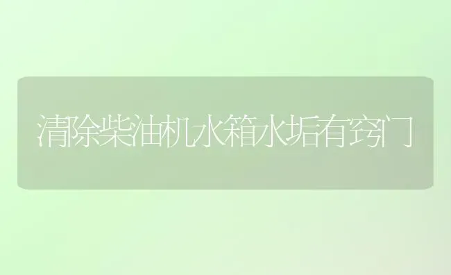 清除柴油机水箱水垢有窍门 | 养殖知识