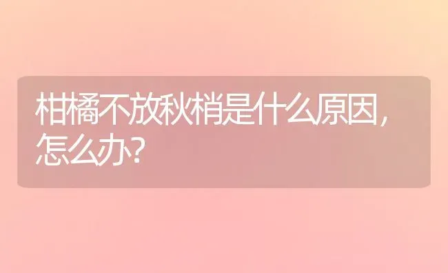 柑橘不放秋梢是什么原因,怎么办? | 养殖技术大全