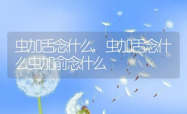 虫加舌念什么,虫加舌念什么虫加俞念什么 | 养殖科普