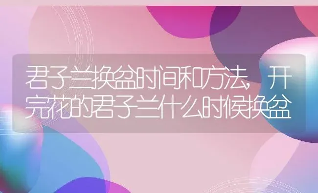 君子兰换盆时间和方法,开完花的君子兰什么时候换盆 | 养殖学堂