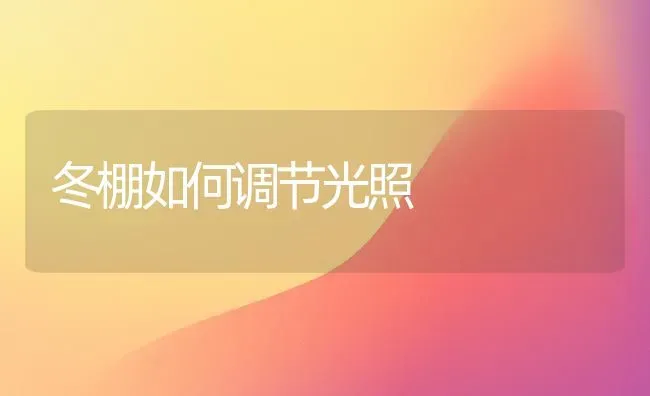 冬棚如何调节光照 | 养殖技术大全