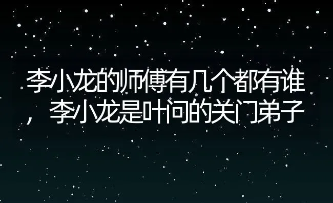 李小龙的师傅有几个都有谁,李小龙是叶问的关门弟子 | 养殖学堂