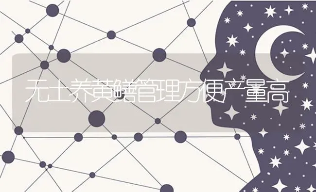 无土养黄鳝管理方便产量高 | 养殖知识
