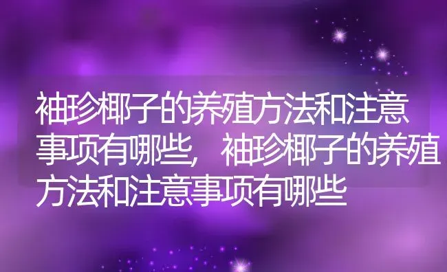 袖珍椰子的养殖方法和注意事项有哪些,袖珍椰子的养殖方法和注意事项有哪些 | 养殖科普